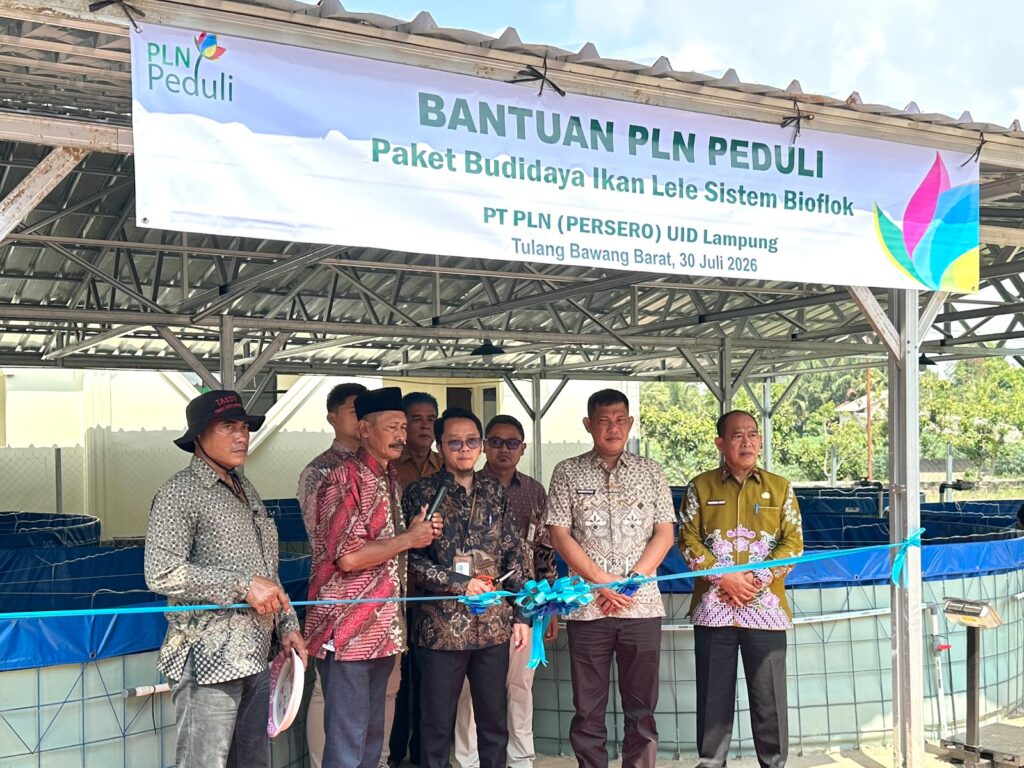 PLN Peduli Salurkan Program Budidaya Lele Bioflok di Tulang Bawang Barat, Dorong Ekonomi dan Ketahanan Pangan