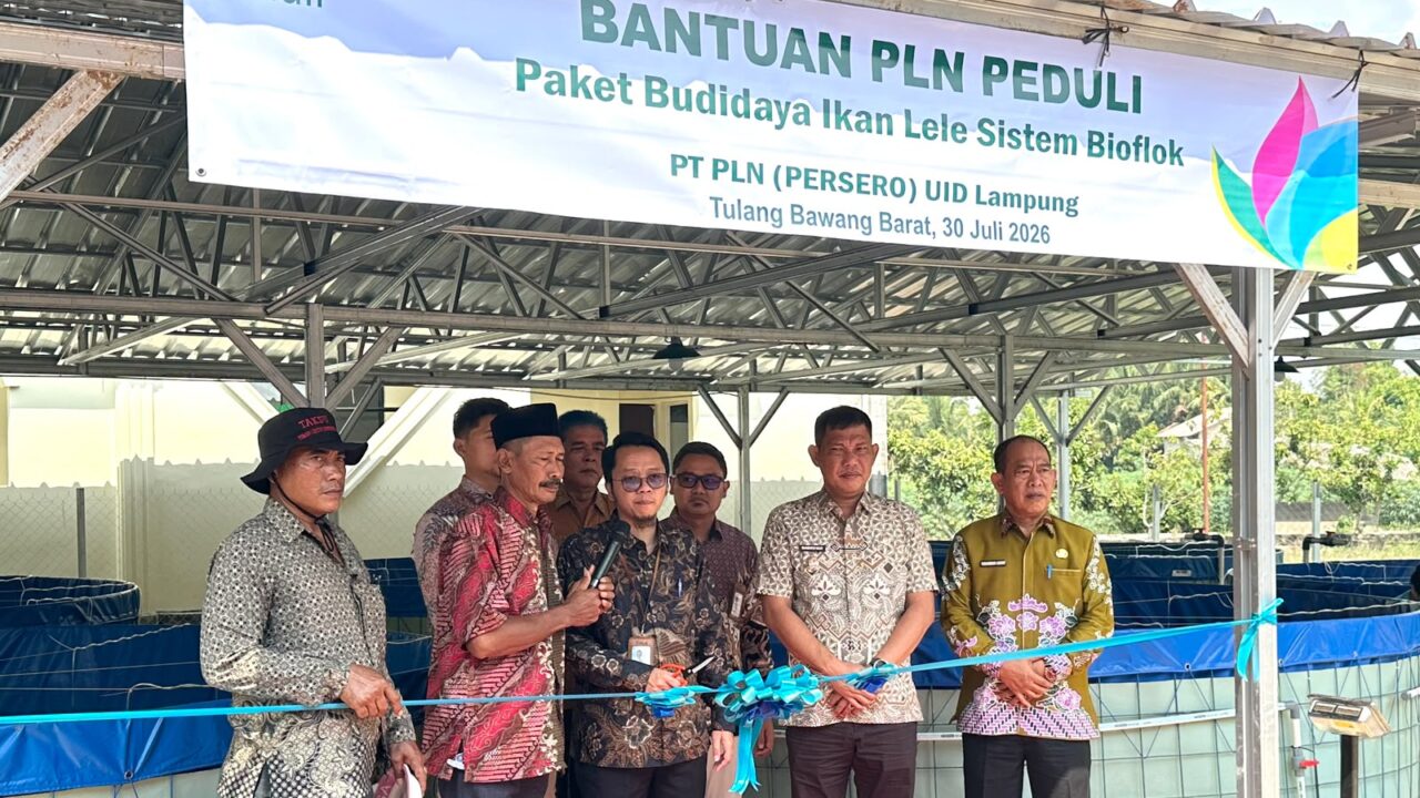 PLN Peduli Salurkan Program Budidaya Lele Bioflok di Tulang Bawang Barat, Dorong Ekonomi dan Ketahanan Pangan