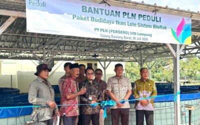 PLN Peduli Salurkan Program Budidaya Lele Bioflok di Tulang Bawang Barat, Dorong Ekonomi dan Ketahanan Pangan