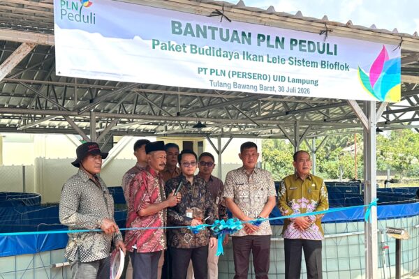 PLN Peduli Salurkan Program Budidaya Lele Bioflok di Tulang Bawang Barat, Dorong Ekonomi dan Ketahanan Pangan