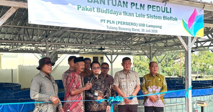PLN Peduli Salurkan Program Budidaya Lele Bioflok di Tulang Bawang Barat, Dorong Ekonomi dan Ketahanan Pangan