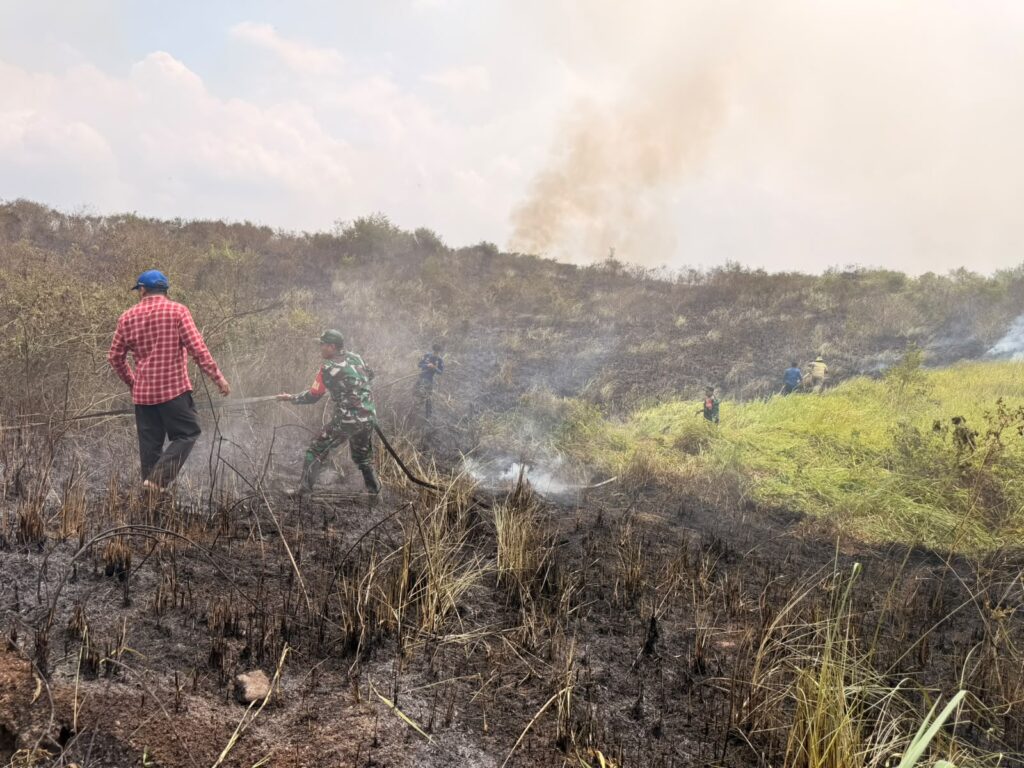 Api Lahap 2,2 Hektare Lahan di Kedaung, Babinsa Bergerak Cepat Padamkan Kebakaran
