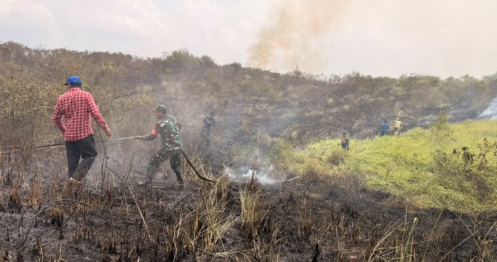 Api Lahap 2,2 Hektare Lahan di Kedaung, Babinsa Bergerak Cepat Padamkan Kebakaran