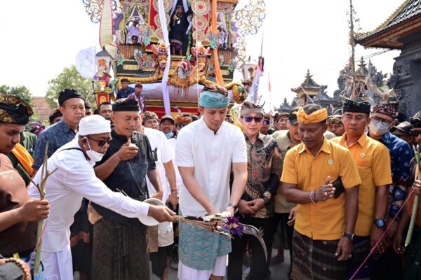 Ngaben Massal Balinuraga Digelar Megah, 270 Sawa Diantar dalam Tradisi Suci yang Gerakkan Ekonomi Warga